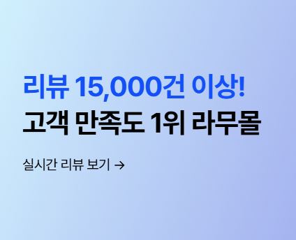 라무몰 도메인과 공식 사이트 정보를 확인하는 이유
